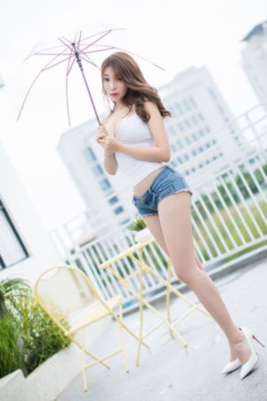 间谍过家家第二季